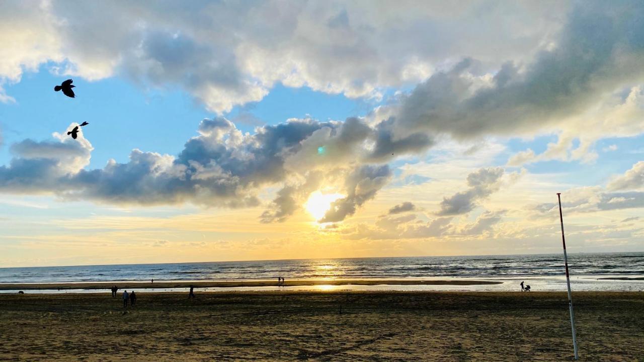 Mevira Appartement Zandvoort Exteriér fotografie